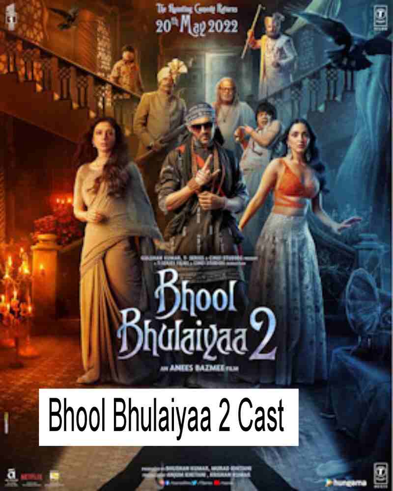 Bhool Bhulaiyaa 2 Cast 
